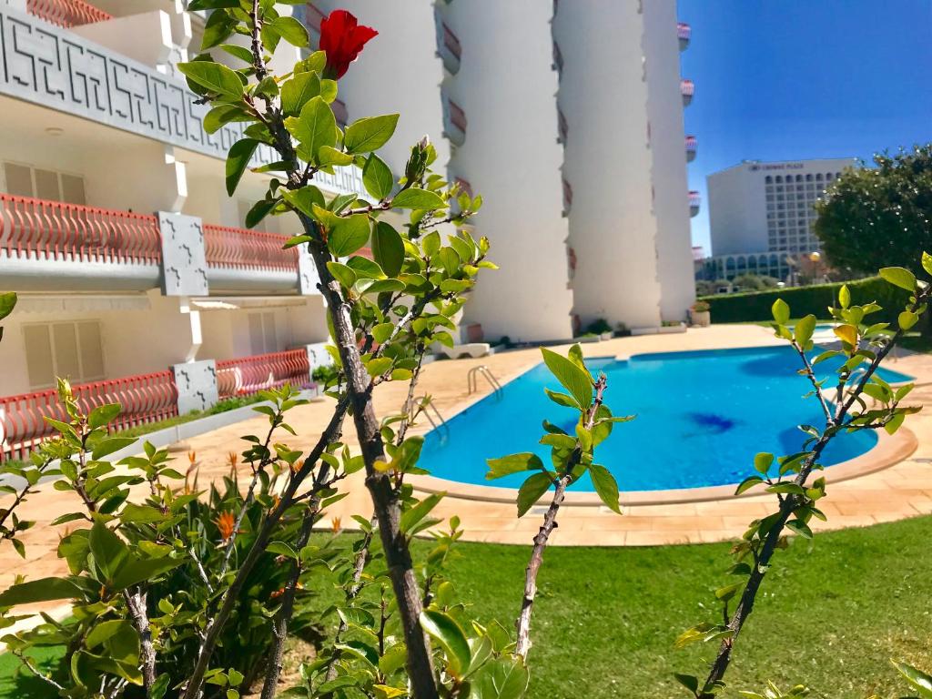 Royal Apartment by Enjoy Portugal room 4